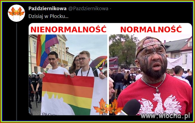 Tymczasem 