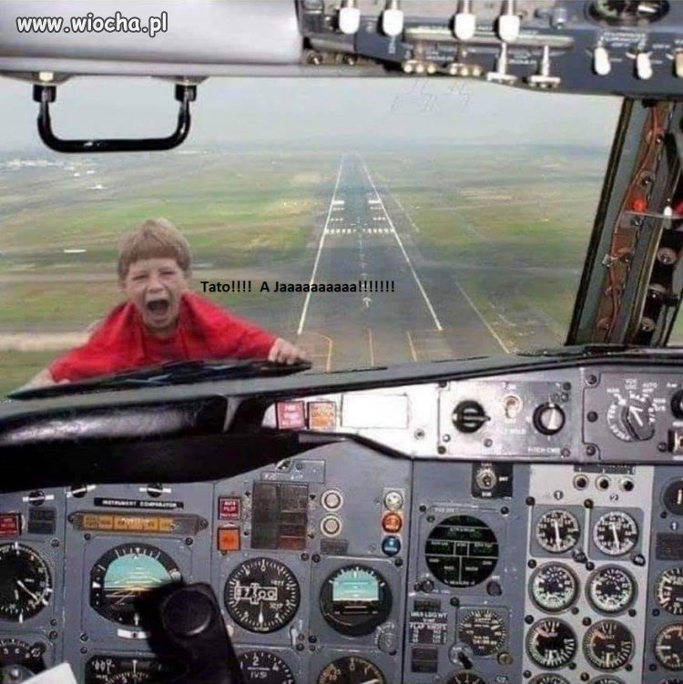 Synek Marszałka