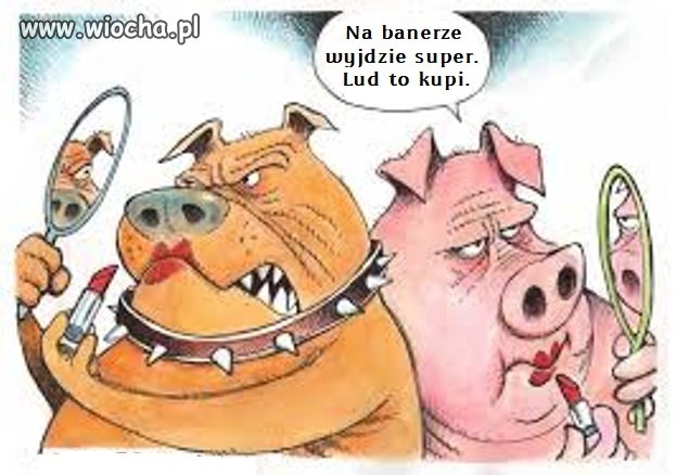 Kampania wyborcza