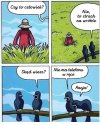 Czy to człowiek?