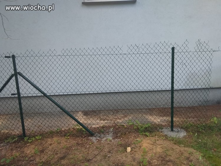Janusze montażu...