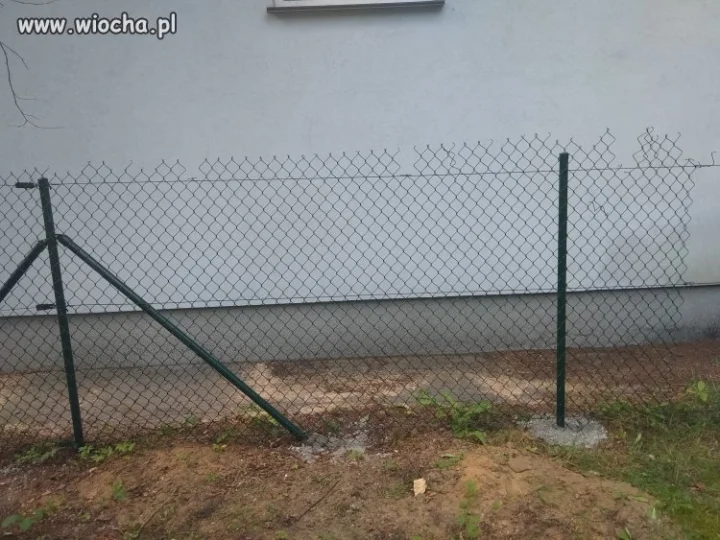 Janusze montażu...