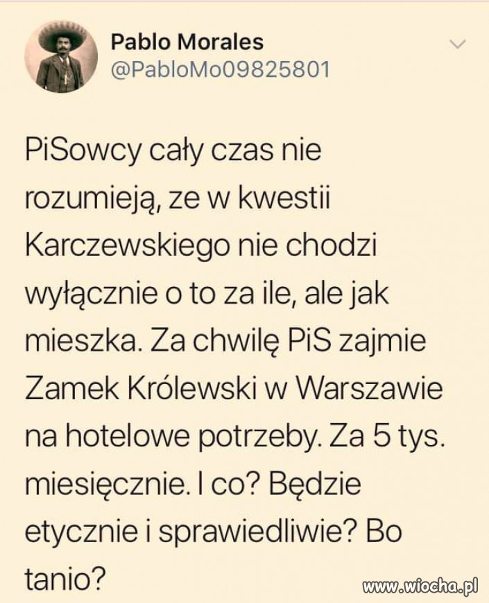 Świat zwariował kaczki na wawelu 