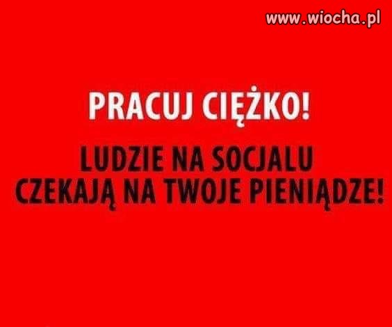 Pracuj ciężko 