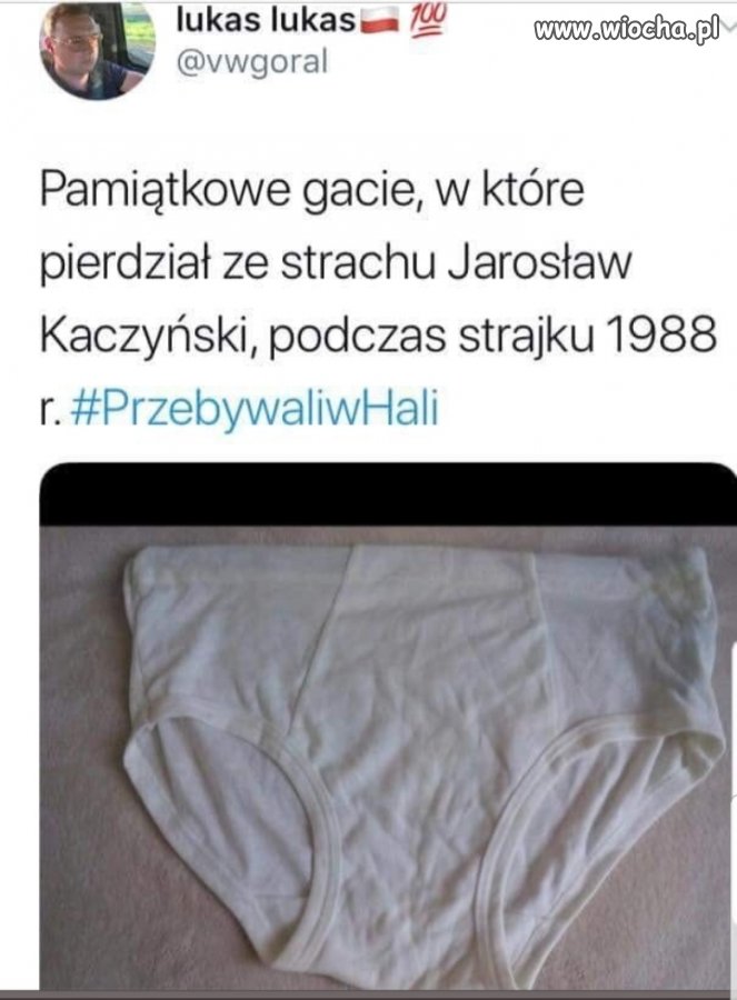 Jarosława gacie