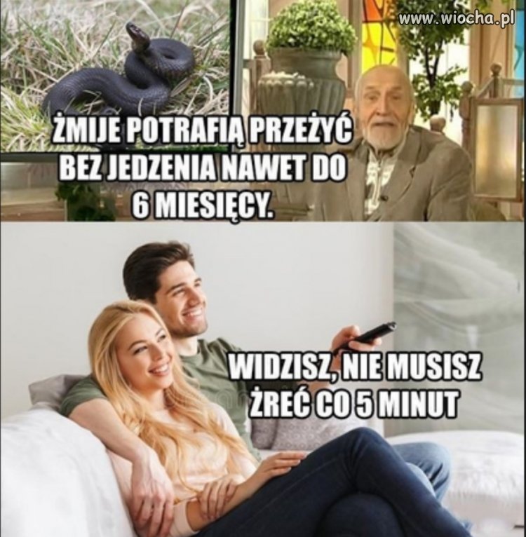 Widziałaś kochanie