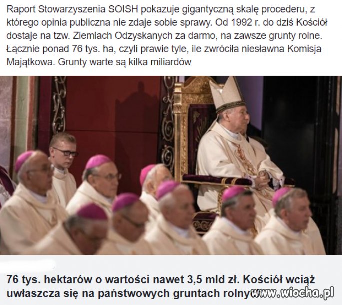 Bo Polacy to głupi naród, że im dają