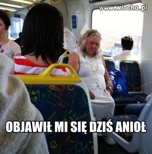 Moherowy aniołek wraca do domu z dzisiejszej ...