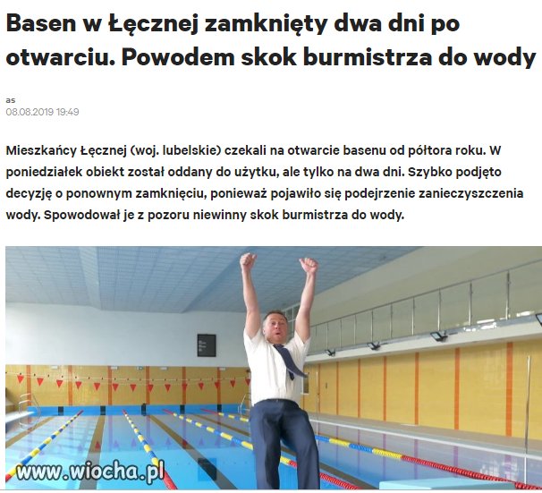 Bareja wiecznie żywy