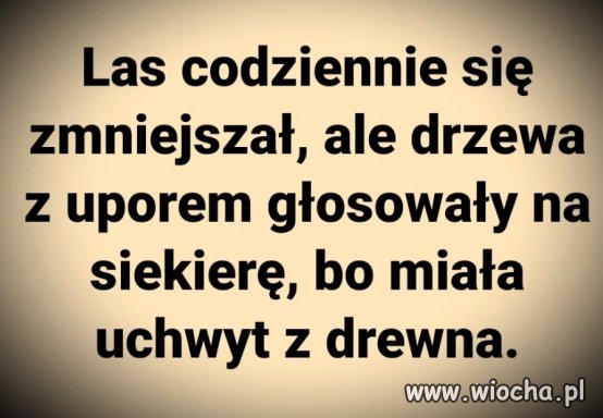 Coś w tym jest