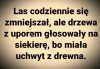 Coś w tym jest