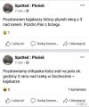Pozdrowienia 