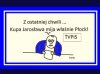 Informacje TVPis
