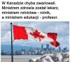 A u nas jak jest?