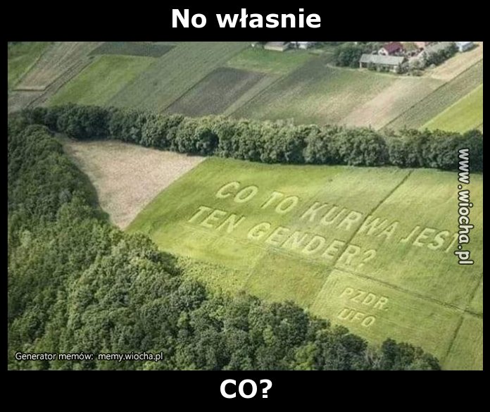 No własnie
