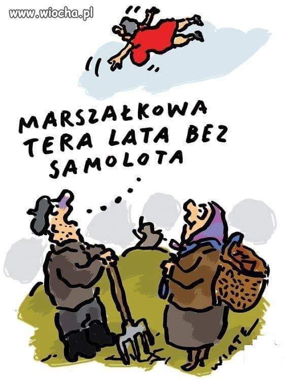 Ło mój borze ... miotły zapomniała