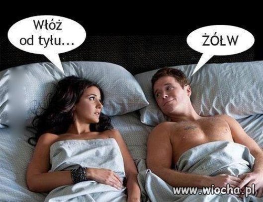 To się dogadali