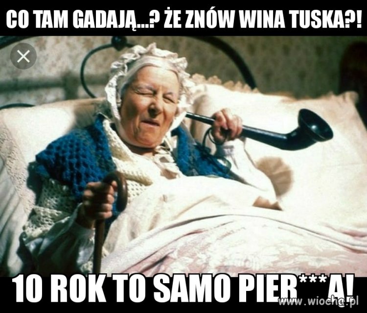 Co by Kaczor zrobił bez Donalda???