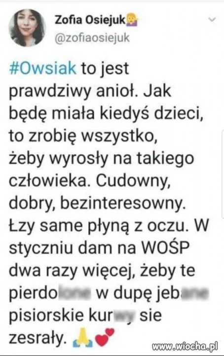 Owsiak to spoko facet