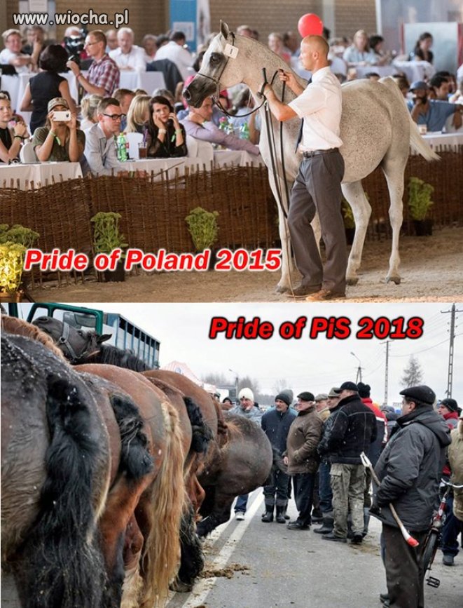 Pisbolszewia w akcji...