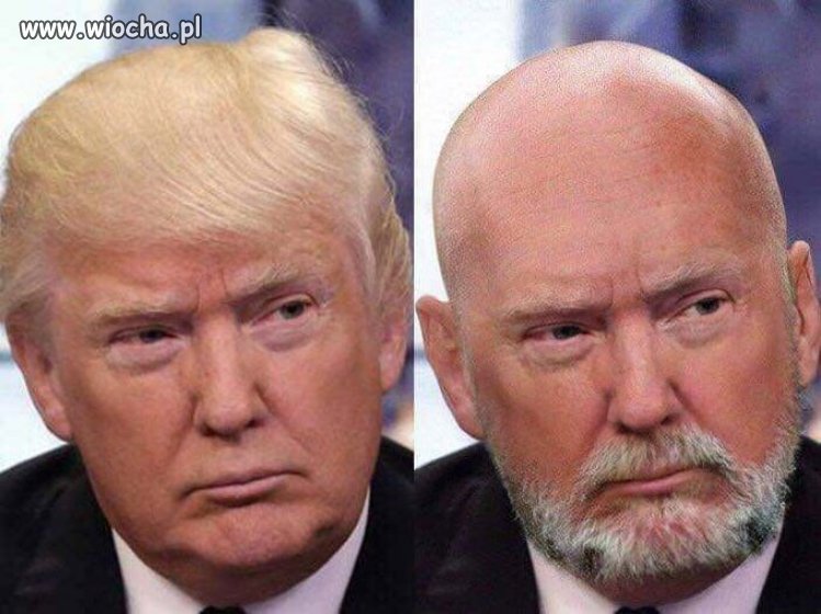 Donald, człowieku! Zrób to!