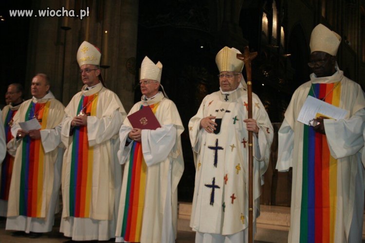 Z cyklu tęczowa zaraza 
