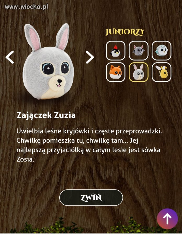 Znalazł się szef ZZ o którym mówiła hejterka EMI