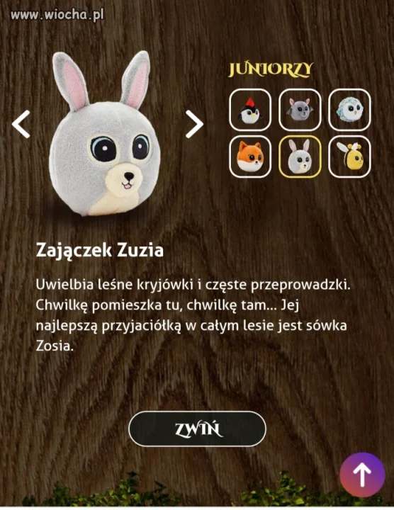 Znalazł się szef ZZ o którym mówiła hejterka EMI