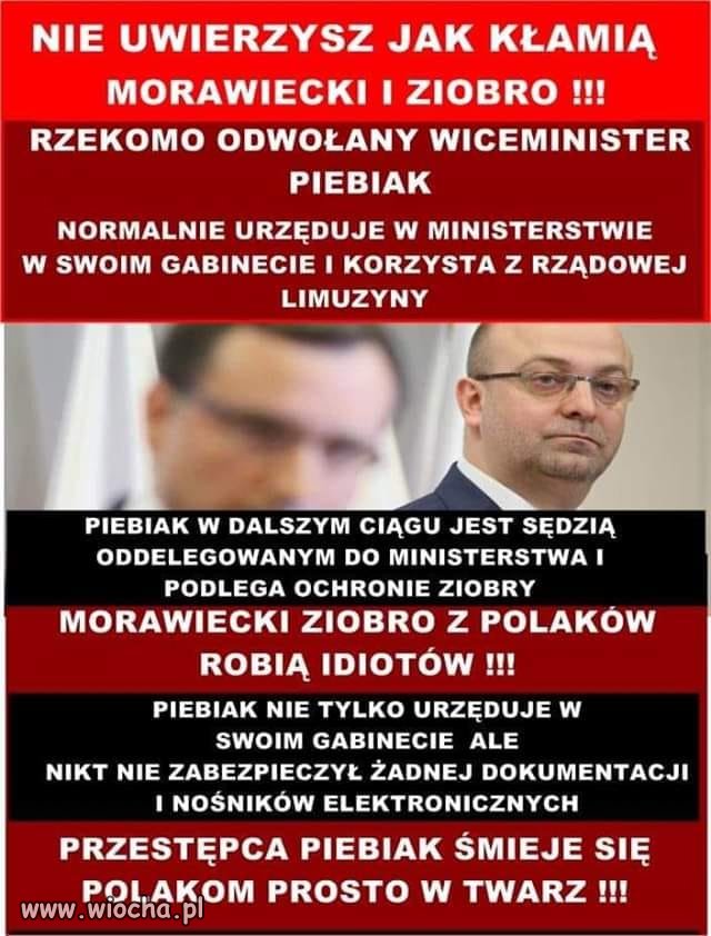 Przecież powiedział premier