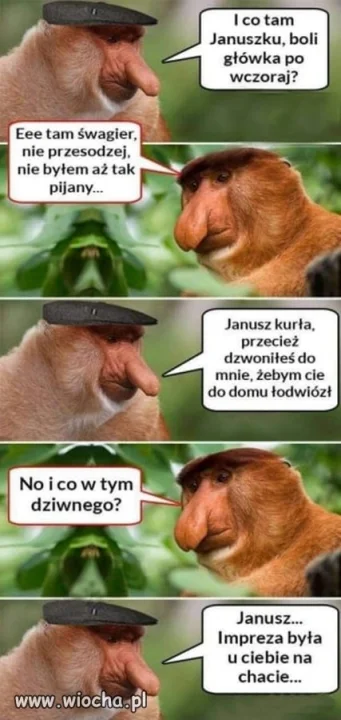 Janusz przesadził 