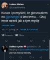 Wielki zawód