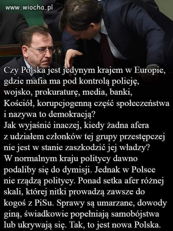 Albo sondaże są zmanipulowane