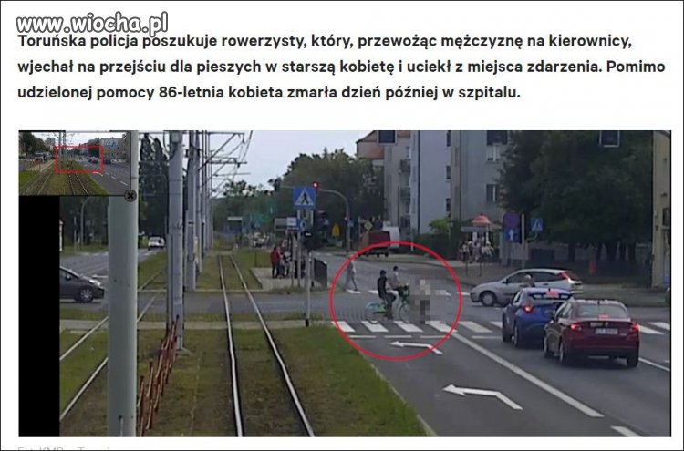 Rowery są wszędzie