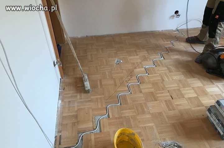 Zagramy w węża