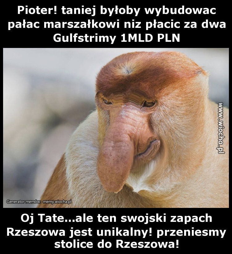 Pioter! taniej byłoby wybudować pałac marszałkowi