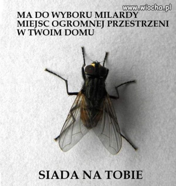 Aby oderwać się na chwilę od polityki