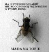 Aby oderwać się na chwilę od polityki