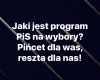 Program PiS 