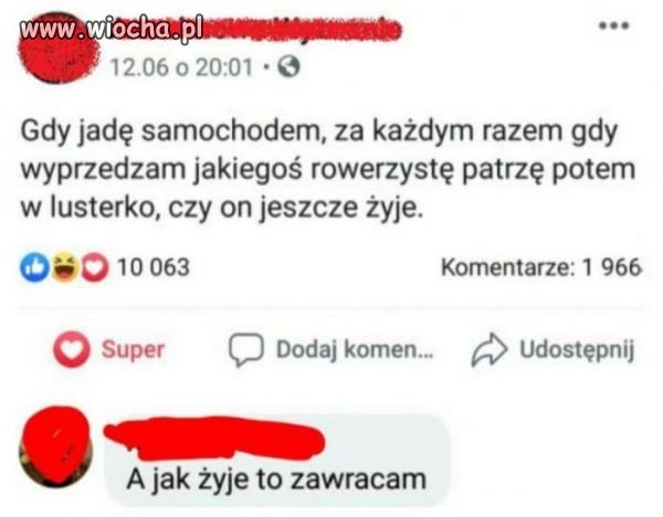Mistrz internetu