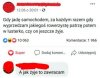 Mistrz internetu