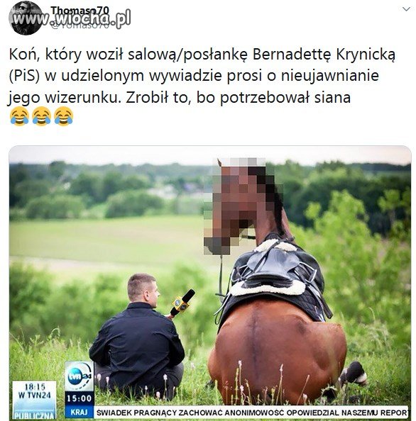 Wywiad