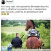 Wywiad
