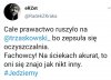 PiSowscy eksperci od ekskrementów ...