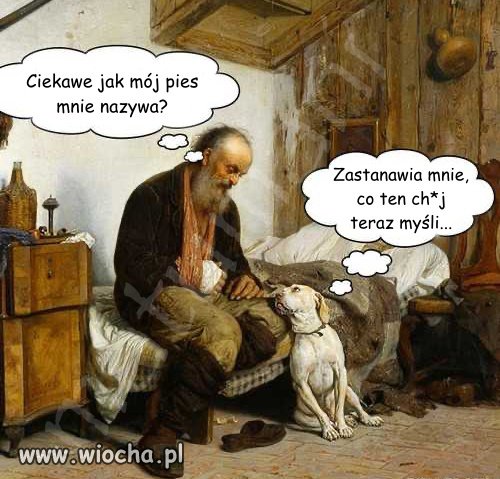 O czym myślą zwierzęta?