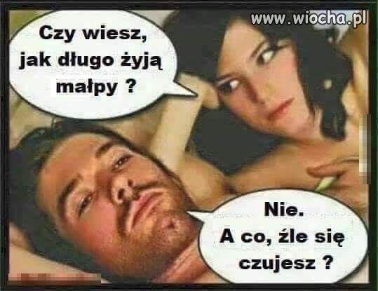 Trochę humoru