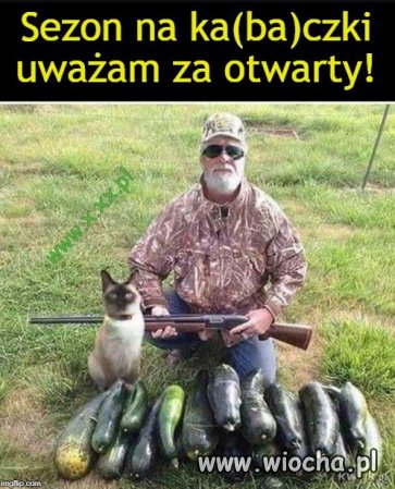 Sezon na ka(ba)czki!