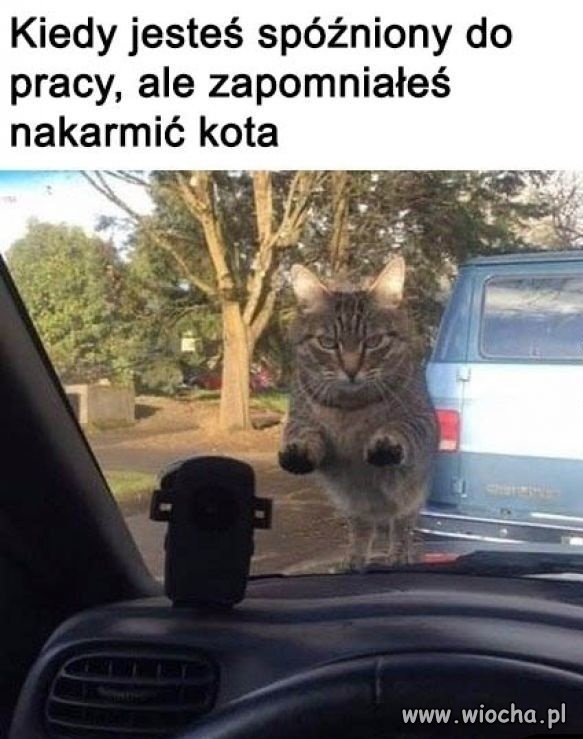 Są rzeczy ważne