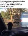 Są rzeczy ważne