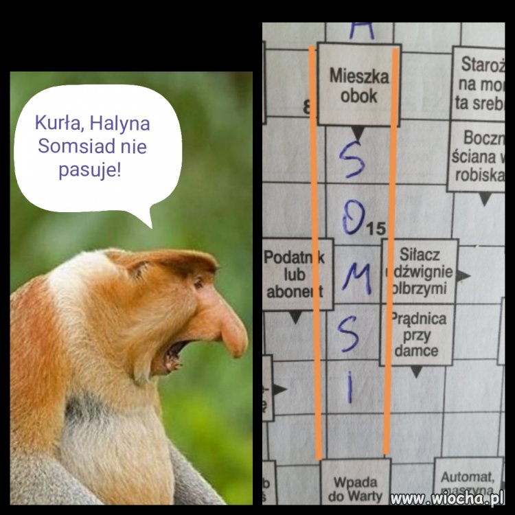 Pomyłka w krzyżówce