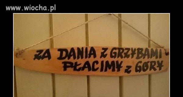 Coś mi tu nie pasuje...